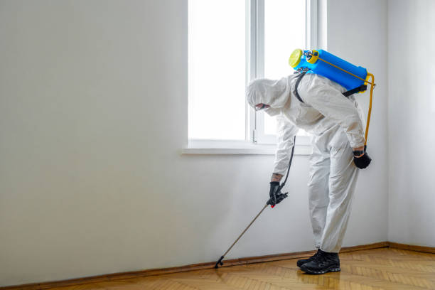 Professional Pest Control in Lantana, FL